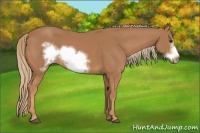 Horse Color:Chestnut Frame