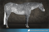 Horse Color:Silver Black Chinchilla Sabino
