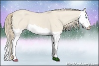 Horse Color:Smoky Creme Dun Splash