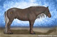 Horse Color:Black  and Silver Black 