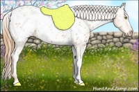 Horse Color:Gold Champagne Appaloosa Rabicano