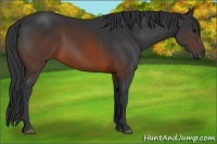 Horse Color:Brown 