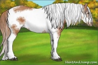 Horse Color:Chestnut Tobiano Frame 