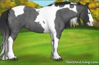 Horse Color:Blue Roan Splash Tobiano 