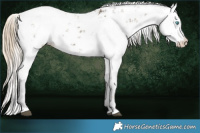 Horse Color:Chocolate Palomino Pearl Mushroom Sabino Appaloosa  and Chocolate Palomino Mushroom Sabino 
