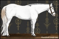 Horse Color:Palomino Near Leopard  and Chestnut Near Leopard 