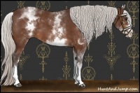 Horse Color:White Spotted Silver Bay Splash 
