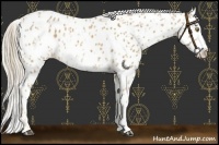 Horse Color:Palomino Roan Near Leopard  and Palomino Roan Frame Near Leopard 