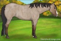 Horse Color:Bay Roan Dun Splash