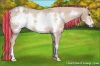 Horse Color:Painted Red Roan Sabino Frame Appaloosa