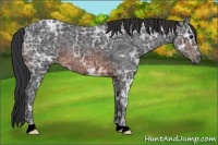 Horse Color:Brown Ice