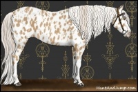 Horse Color:Palomino Near Leopard  and Palomino Splash Near Leopard 