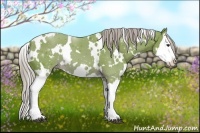 Horse Color:Watercolor White Spotted Liver Chestnut Splash 