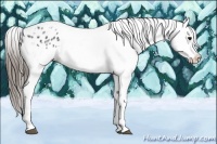 Horse Color:White Spotted Black Splash Tobiano Frame Varnish 