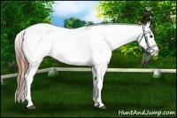 Horse Color:White Spotted Black Splash Tobiano Frame Appaloosa