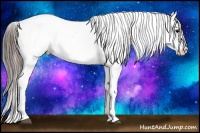 Horse Color:White Spotted Black Splash Tobiano Frame Appaloosa