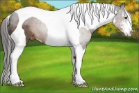 Horse Color:Liver Chestnut Sabino Tobiano Blanket Rabicano