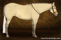 Horse Color:Silver Buckskin Dun 