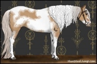 Horse Color:Silver Bay Dun Sabino Tobiano Frame Rabicano 