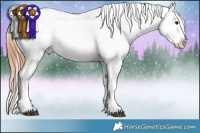 Horse Color:Brown Appaloosa Rabicano 