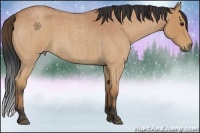 Horse Color:Bay Roan Rabicano 