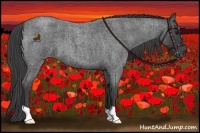 Horse Color:Smoky Blue Roan 