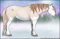 Horse Color:Buckskin Roan Pearl Splash 