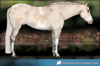 Horse Color:Silver Bay Dun Sabino Tobiano Frame Rabicano