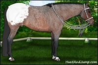 Horse Color:Bay Roan Snowcap 