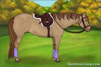 Horse Color:Red Dun 