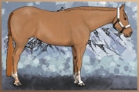 Horse Color:Chestnut  and Chestnut 