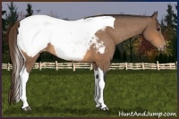 Horse Color:Buckskin Tobiano Snowcap 