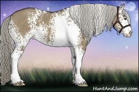 Horse Color:White Spotted Chocolate Palomino Dun Sabino 