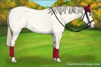 Horse Color:Perlino Roan Dun 