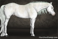 Horse Color:Watercolor Silver Buckskin Ice Onyx Splash 