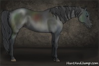Horse Color:Black Sabino