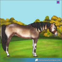 Horse Color:Brown Onyx Brindle