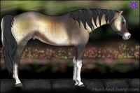 Horse Color:Brown Onyx Brindle