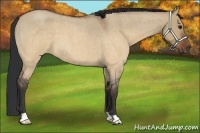 Horse Color:Brown Roan Dun 