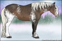 Horse Color:White Spotted Liver Chestnut 