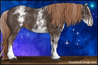 Horse Color:White Spotted Liver Chestnut Sabino 