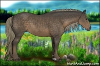 Horse Color:Liver Chestnut Rabicano