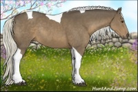 Horse Color:Liver Chestnut Tobiano Rabicano 