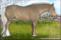 Horse Color:Liver Chestnut Sabino