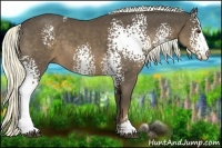 Horse Color:White Spotted Liver Chestnut Sabino