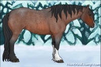 Horse Color:Bay Roan 