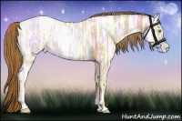 Horse Color:Chestnut Ice Pearl 