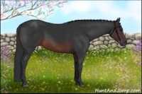 Horse Color:Brown 