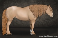 Horse Color:Chestnut Pearl Sabino