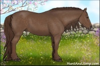 Horse Color:Liver Chestnut Sabino